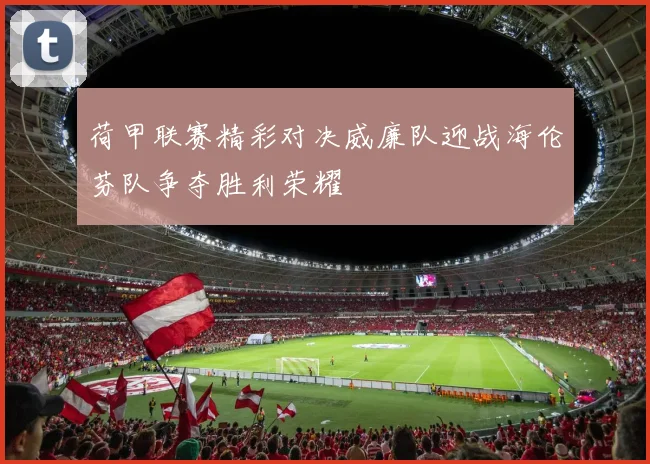 荷甲联赛精彩对决威廉队迎战海伦芬队争夺胜利荣耀